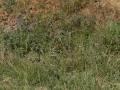E5057477