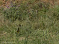 E5057609