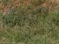 E5057642