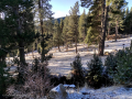 Salida de invierno a La Cerdaña