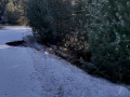 Salida de invierno a La Cerdaña