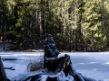 Salida de invierno