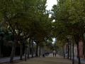 2015-09-26 09h49m35