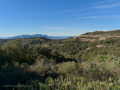 La Mata