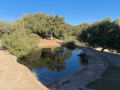 La Mata