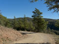 La Mata