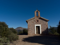 Encina Bonica