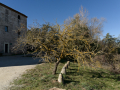La Mata