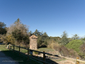 La Mata