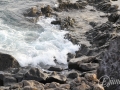 20120723-Lanzarote_0029.jpg