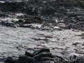 20120723-Lanzarote_0030.jpg
