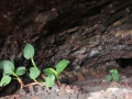 20120724-Lanzarote_0075.jpg