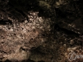 20120724-Lanzarote_0082.jpg