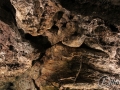 20120724-Lanzarote_0088.jpg