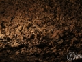 20120724-Lanzarote_0099.jpg