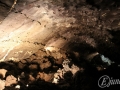 20120724-Lanzarote_0105.jpg