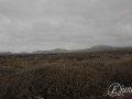 20120724-Lanzarote_0139.jpg