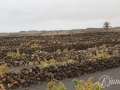 20120724-Lanzarote_0161.jpg