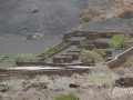 20120724-Lanzarote_0281.jpg