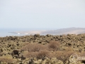 20120724-Lanzarote_0290.jpg