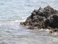 20120724-Lanzarote_0298.jpg