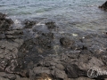 20120724-Lanzarote_0300.jpg