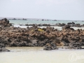 20120724-Lanzarote_0368.jpg