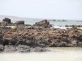 20120724-Lanzarote_0370.jpg