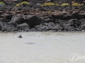 20120724-Lanzarote_0371.jpg