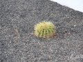 20120724-Lanzarote_0392.jpg
