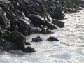 20120724-Lanzarote_0424.jpg