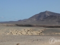 20120725-Lanzarote_0506.jpg