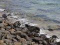 20120725-Lanzarote_0566.jpg