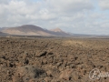 20120725-Lanzarote_0604.jpg