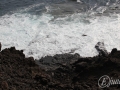 20120725-Lanzarote_0608.jpg