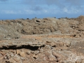 20120726-Lanzarote_0715.jpg
