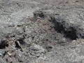 20120726-Lanzarote_0718.jpg