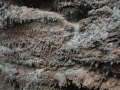 20120726-Lanzarote_0738.jpg