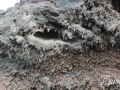 20120726-Lanzarote_0739.jpg