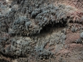 20120726-Lanzarote_0740.jpg