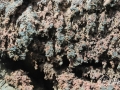 20120726-Lanzarote_0742.jpg