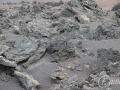 20120726-Lanzarote_0744.jpg