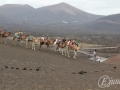 20120726-Lanzarote_0798.jpg