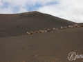 20120726-Lanzarote_0805.jpg