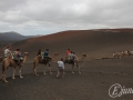 20120726-Lanzarote_0821.jpg