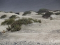 20120727-Lanzarote_0863.jpg