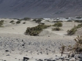 20120727-Lanzarote_0865.jpg