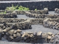 20120727-Lanzarote_0989.jpg