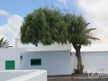 20120727-Lanzarote_0998.jpg