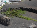 20120727-Lanzarote_0999.jpg